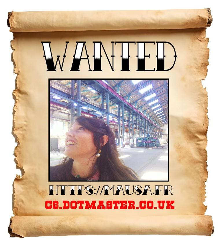 APB! Crime Reference: 68CE83660C556. A Metha addict is wanted in relation to a crime