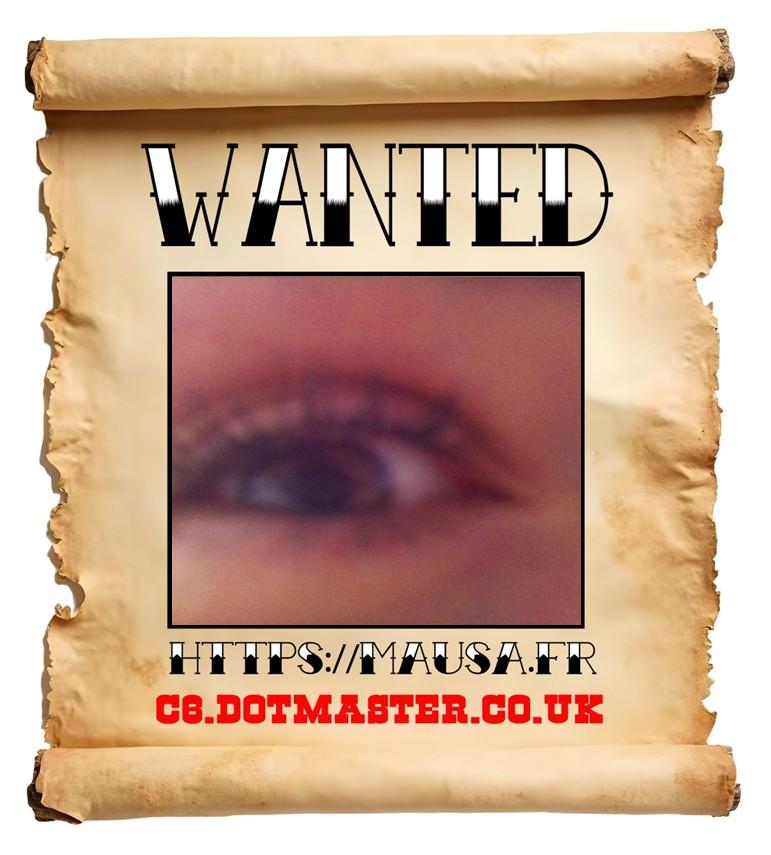 APB! Crime Reference: 68CC0DD417B7D. A Metha addict is wanted in relation to a crime