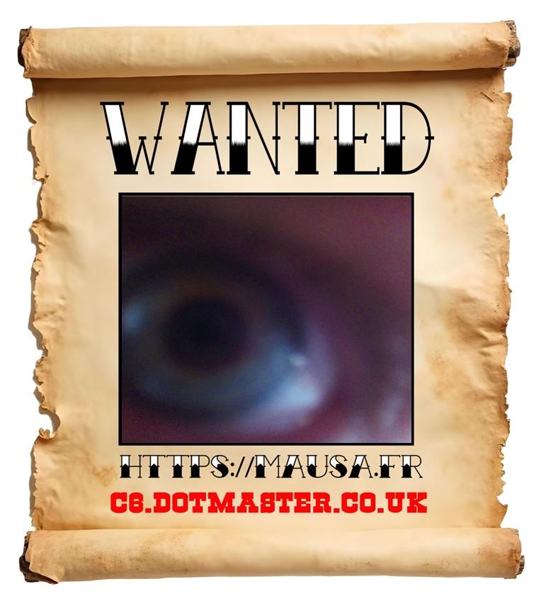 APB! Crime Reference: 68C96D313F73D. A Metha addict is wanted in relation to a crime