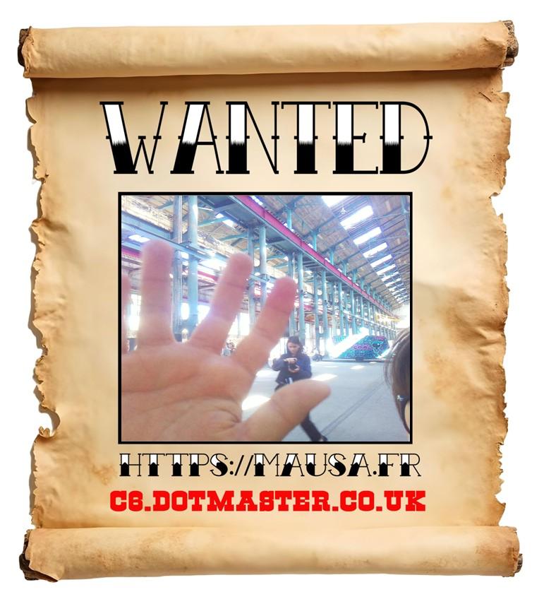 APB! Crime Reference: 68CEAAB6B90D4. A Metha addict is wanted in relation to a crime