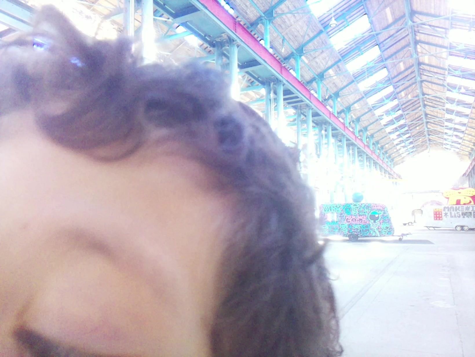 APB! Crime Reference: 68CEA400AF5B9. A Metha addict is wanted for lurking