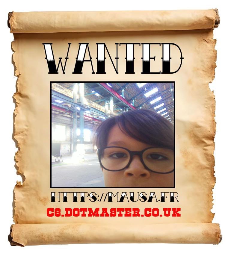 APB! Crime Reference: 68CEBBE63E482. A Metha addict is wanted in relation to a crime