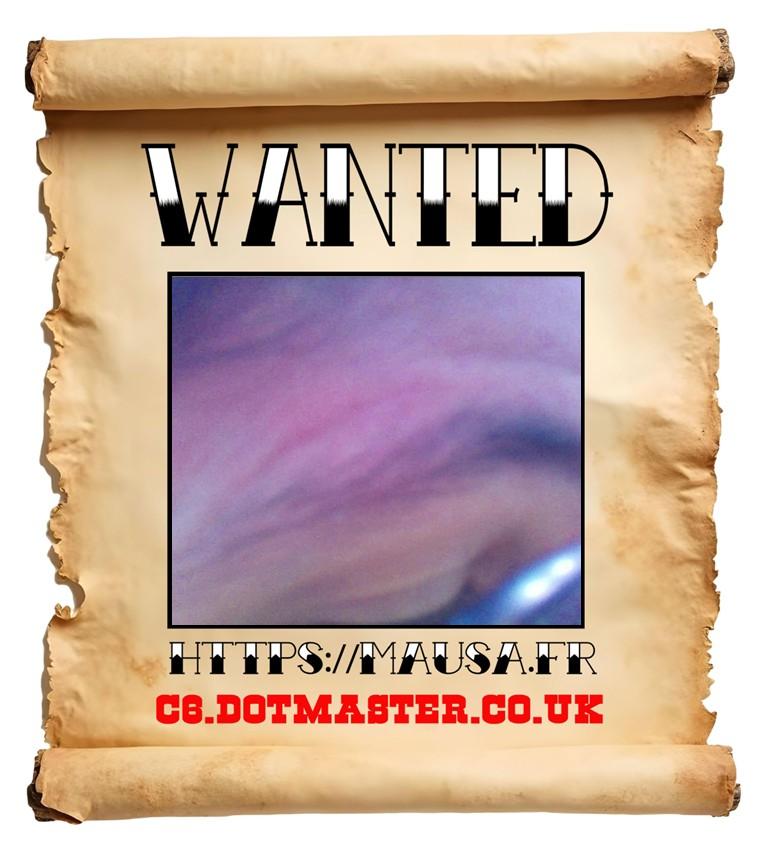 APB! Crime Reference: 68CEB55211BC1. A Metha addict is wanted in relation to a crime