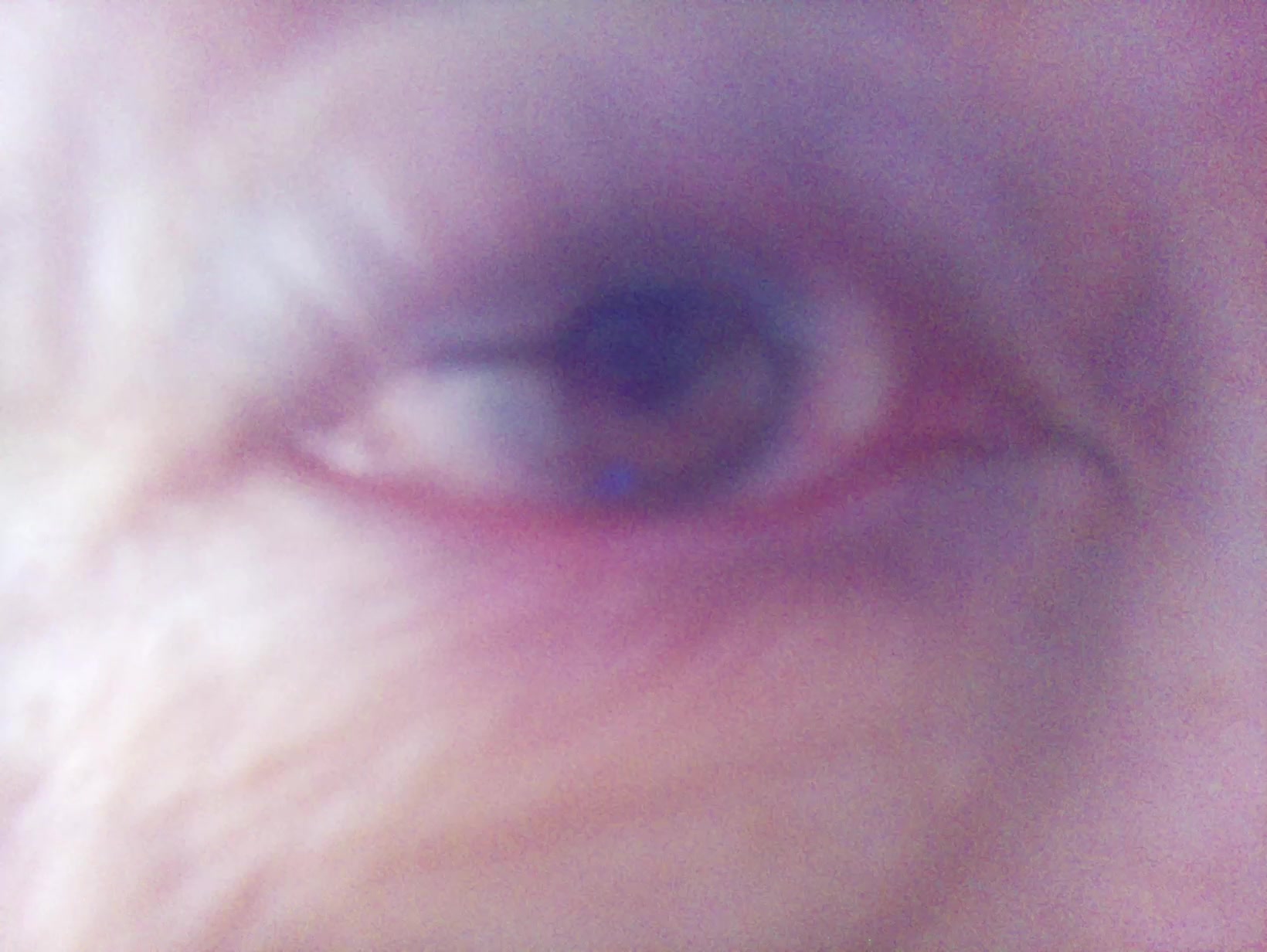 APB! Crime Reference: 68CE94FB2812C. A Metha addict is wanted for lurking