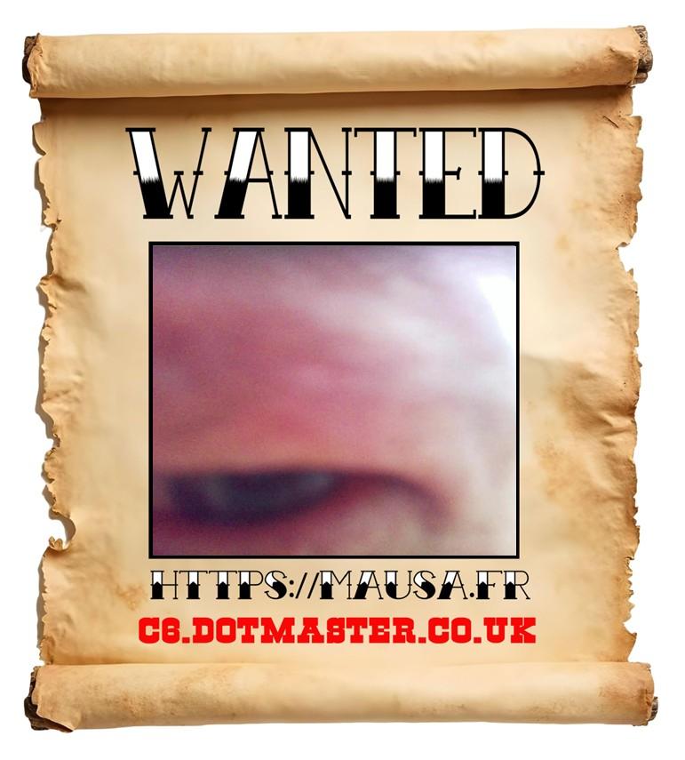APB! Crime Reference: 68CEB0BC09CBD. A Metha addict is wanted in relation to a crime