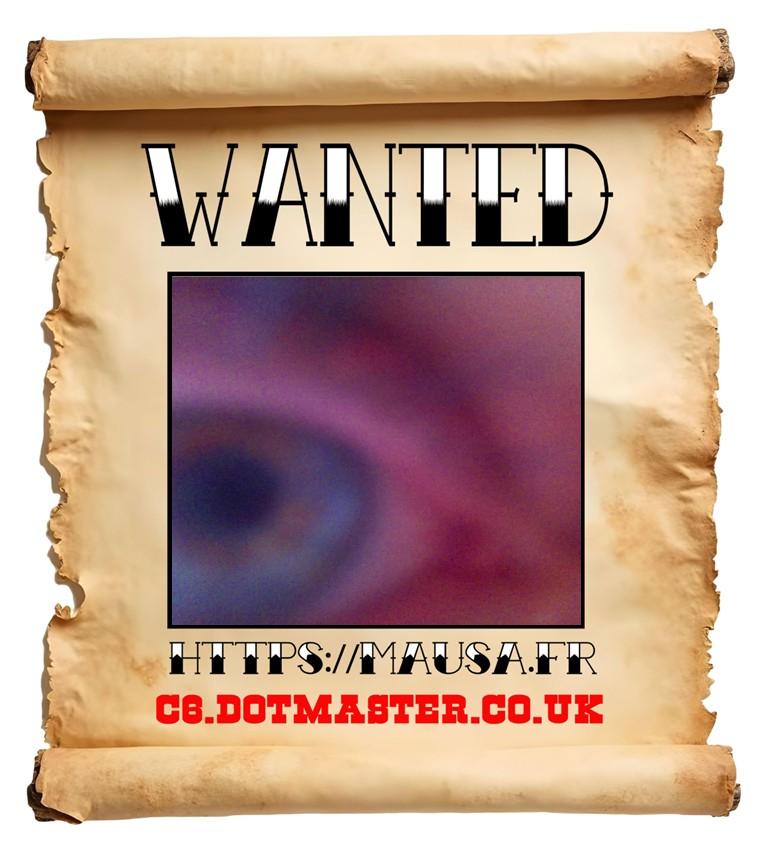 APB! Crime Reference: 68E241D5BD142. A Metha addict is wanted in relation to a crime