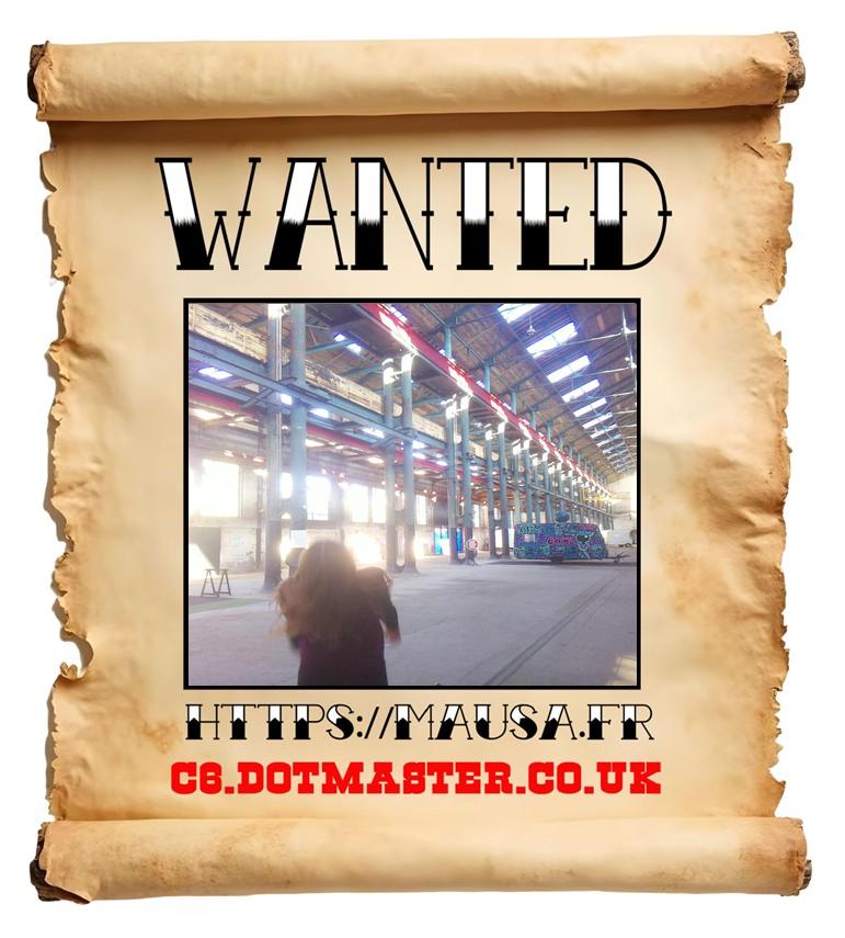 APB! Crime Reference: 68EBBB98BB901. A Metha addict is wanted in relation to a crime