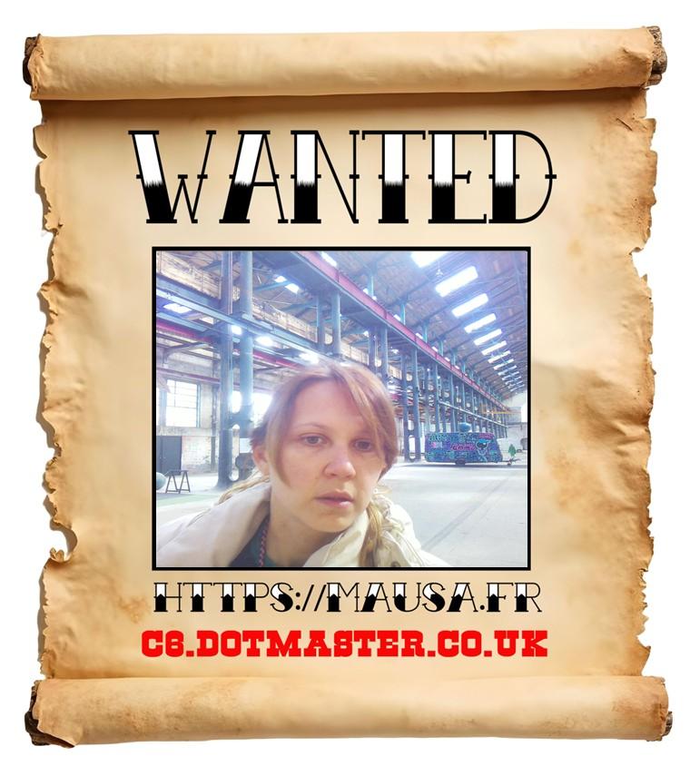 APB! Crime Reference: 68E23C67B7660. A Metha addict is wanted in relation to a crime