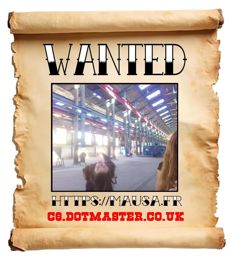 APB! Crime Reference: 68EBBBA49E6D2. A Metha addict is wanted in relation to a crime