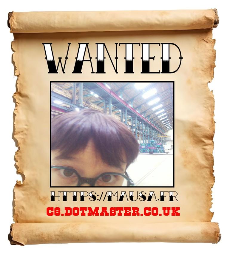 APB! Crime Reference: 68FA2EE061C42. A Metha addict is wanted in relation to a crime