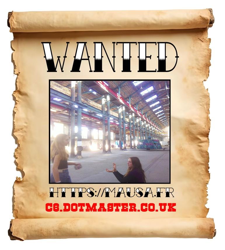 APB! Crime Reference: 68EBB9218B1F7. A Metha addict is wanted in relation to a crime