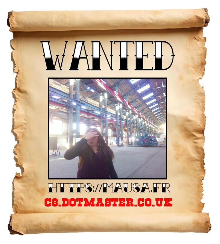 APB! Crime Reference: 68EBB9315EF90. A Metha addict is wanted in relation to a crime