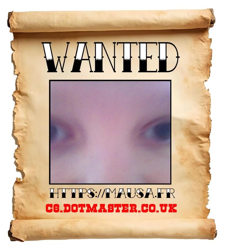 APB! Crime Reference: 68F8EBF0E0103. A Metha addict is wanted in relation to a crime