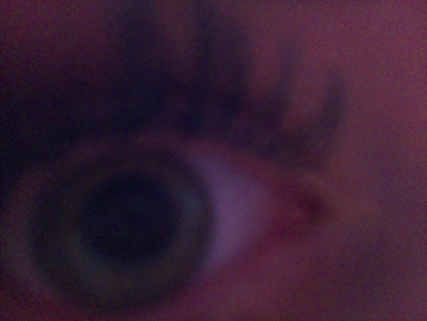 APB! Crime Reference: 690228768B345. A Metha addict is wanted for lurking