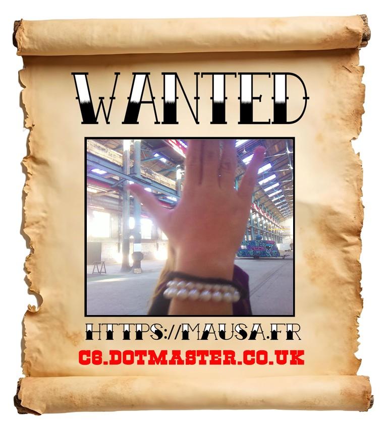 APB! Crime Reference: 68EBB8ECAAEA1. A Metha addict is wanted in relation to a crime