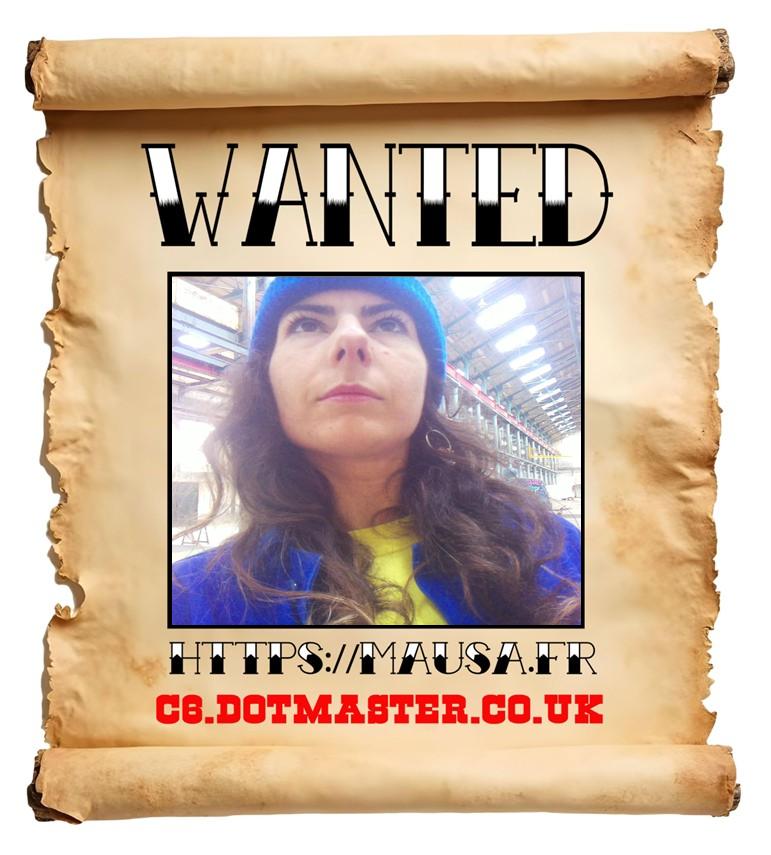 APB! Crime Reference: 68FB787F1E753. A Metha addict is wanted in relation to a crime