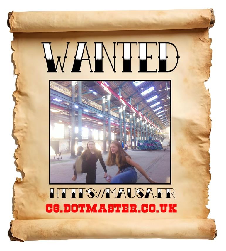 APB! Crime Reference: 68EBBB2E9DF77. A Metha addict is wanted in relation to a crime