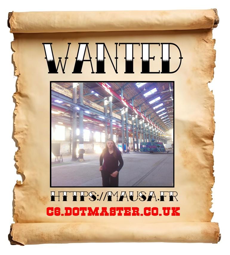 APB! Crime Reference: 68EBBAA50ED65. A Metha addict is wanted in relation to a crime