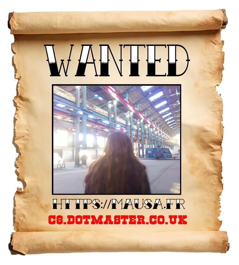 APB! Crime Reference: 68EBBC19B8C96. A Metha addict is wanted in relation to a crime