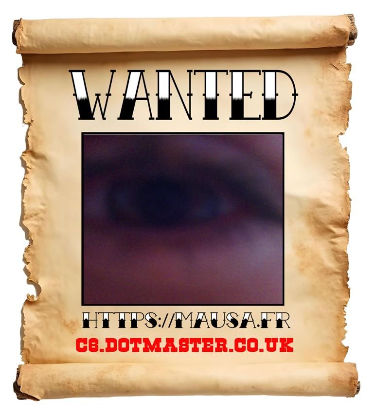 APB! Crime Reference: 68E12DF981B8D. A Metha addict is wanted in relation to a crime