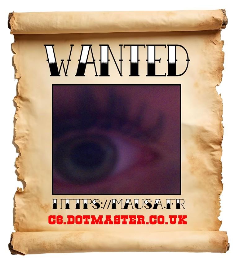 APB! Crime Reference: 6902287442DD3. A Metha addict is wanted in relation to a crime