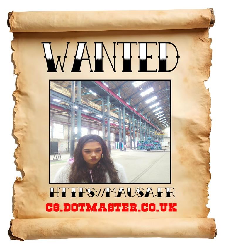 APB! Crime Reference: 68FA2CC61E3DD. A Metha addict is wanted in relation to a crime