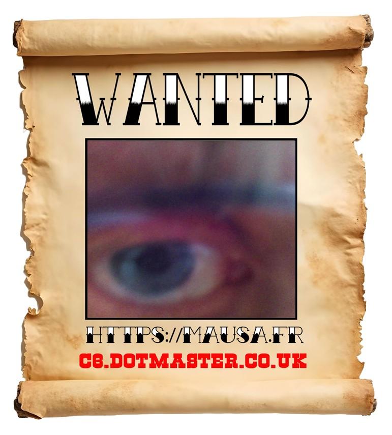 APB! Crime Reference: 68F4EA1A33602. A Metha addict is wanted in relation to a crime
