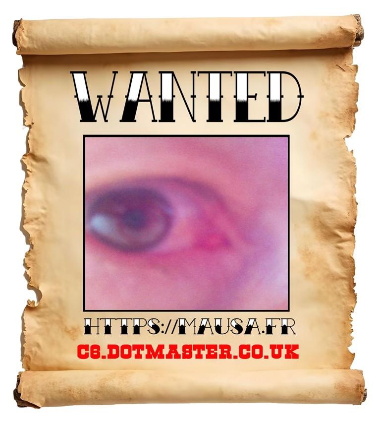 APB! Crime Reference: 68FE07114541E. A Metha addict is wanted in relation to a crime