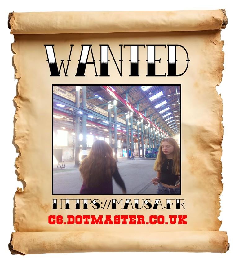 APB! Crime Reference: 68EBBB0318D3D. A Metha addict is wanted in relation to a crime