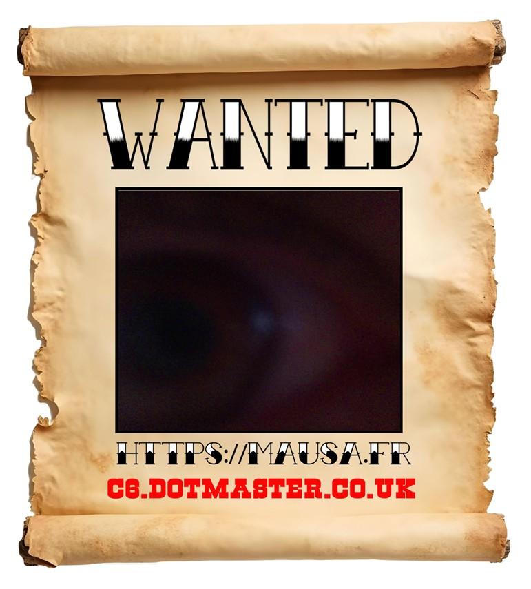 APB! Crime Reference: 6902272EAF7B7. A Metha addict is wanted in relation to a crime