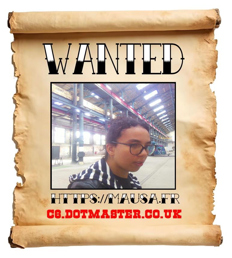 APB! Crime Reference: 68FA1961C2E91. A Metha addict is wanted in relation to a crime