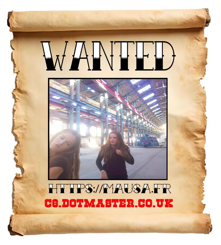 APB! Crime Reference: 68EBB93933FDC. A Metha addict is wanted in relation to a crime