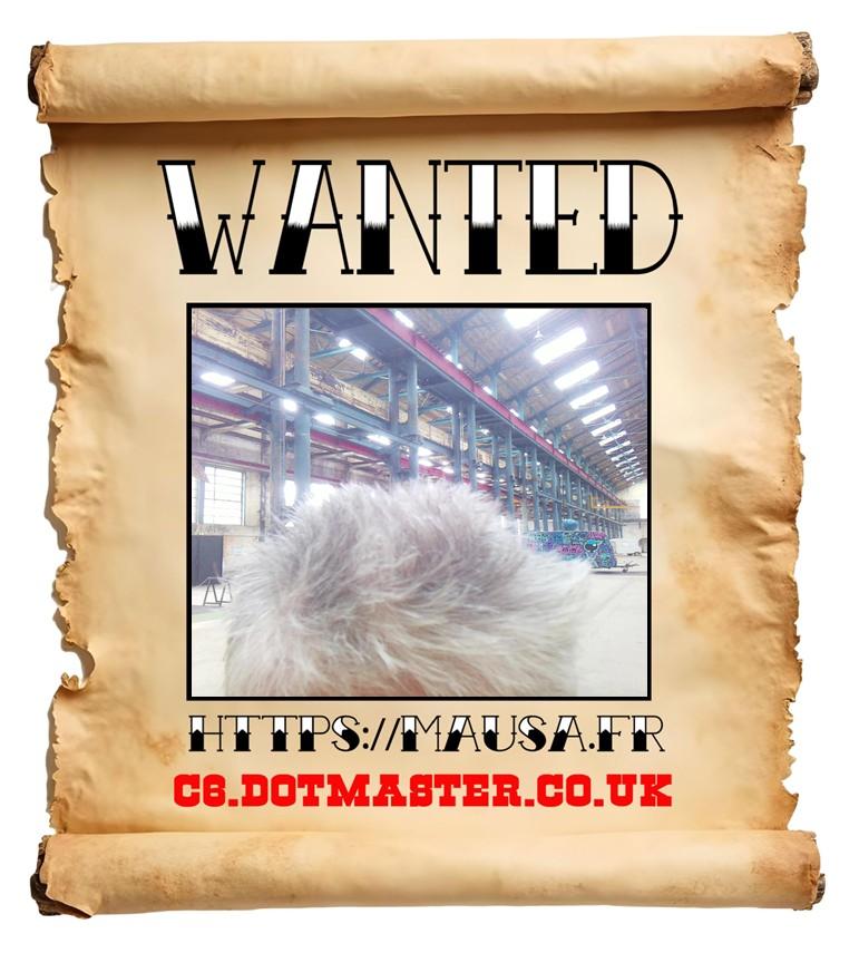 APB! Crime Reference: 68EA21B607465. A Metha addict is wanted in relation to a crime