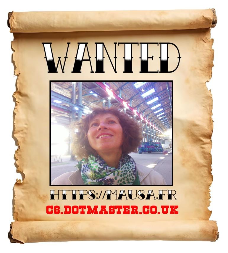 APB! Crime Reference: 690364A7013F6. A Metha addict is wanted in relation to a crime