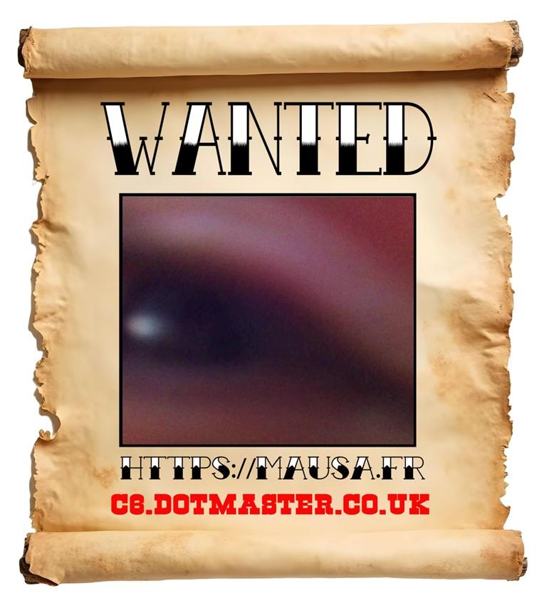 APB! Crime Reference: 68F79A7F20059. A Metha addict is wanted in relation to a crime