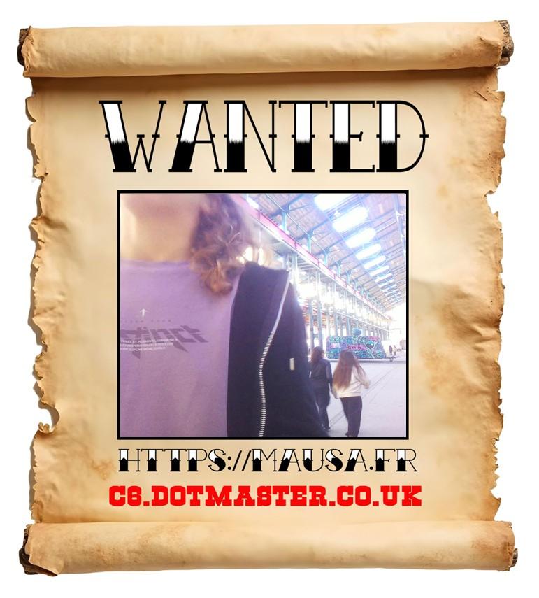 APB! Crime Reference: 690096F9C6C18. A Metha addict is wanted in relation to a crime