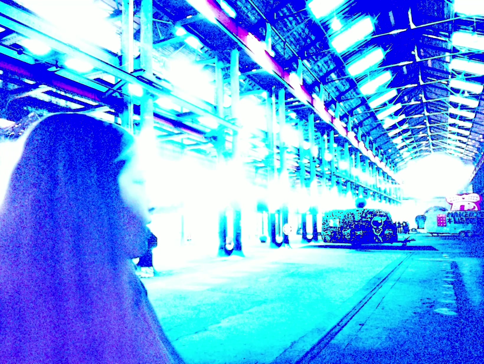 APB! Crime Reference: 68EBB37B379CC. A Metha addict is wanted for lurking