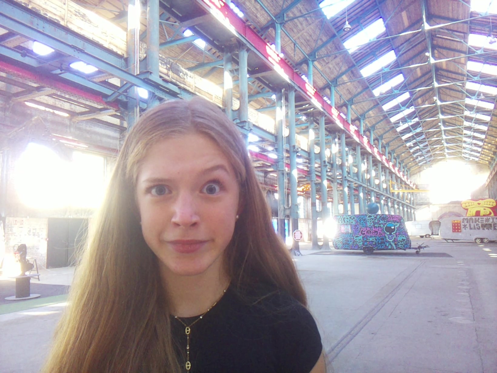 APB! Crime Reference: 68EBB72F36320. A Metha addict is wanted for lurking