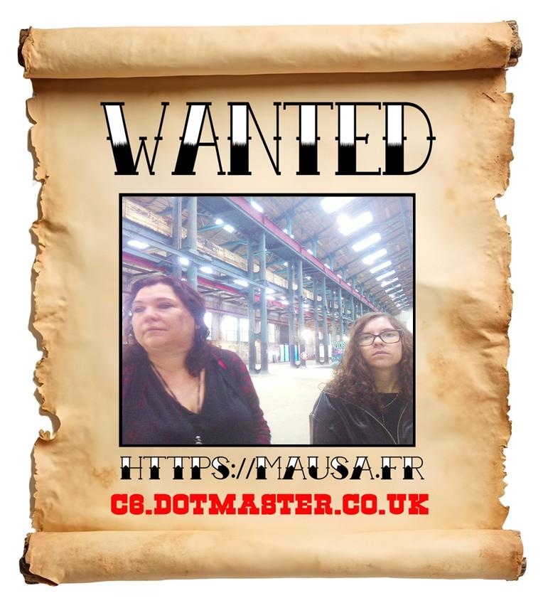 APB! Crime Reference: 6902175A93EE5. A Metha addict is wanted in relation to a crime