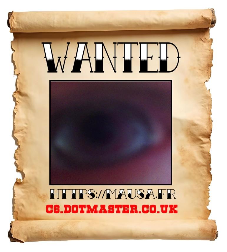 APB! Crime Reference: 69186E390CC47. A Metha addict is wanted in relation to a crime
