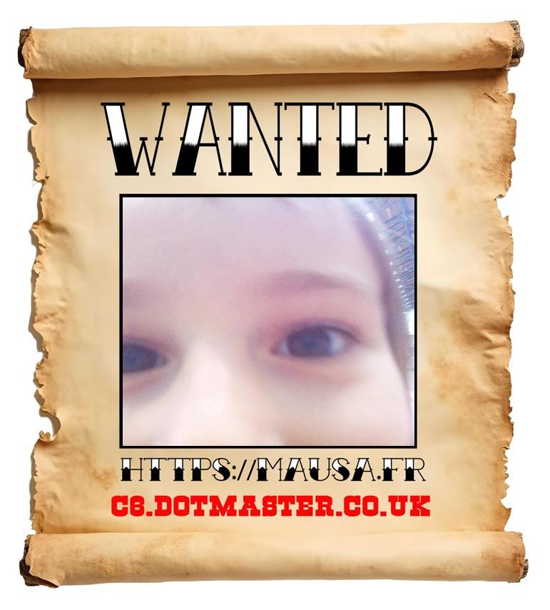 APB! Crime Reference: 69109BB07D382. A Metha addict is wanted in relation to a crime