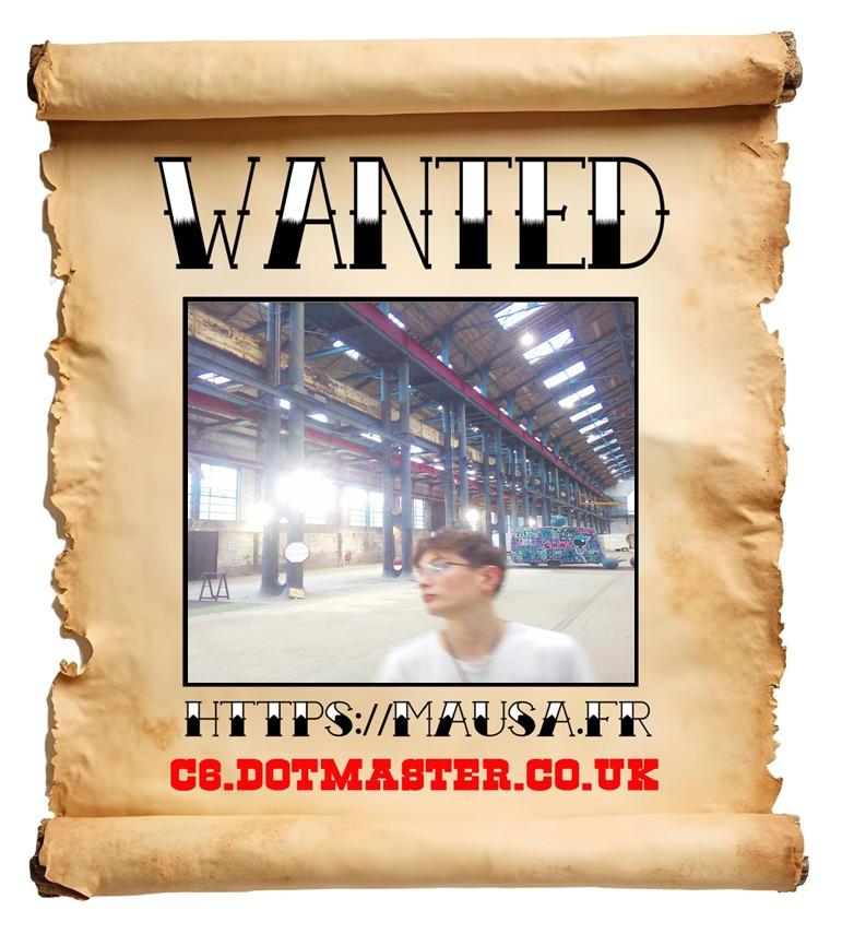 APB! Crime Reference: 6919E482595C3. A Metha addict is wanted in relation to a crime