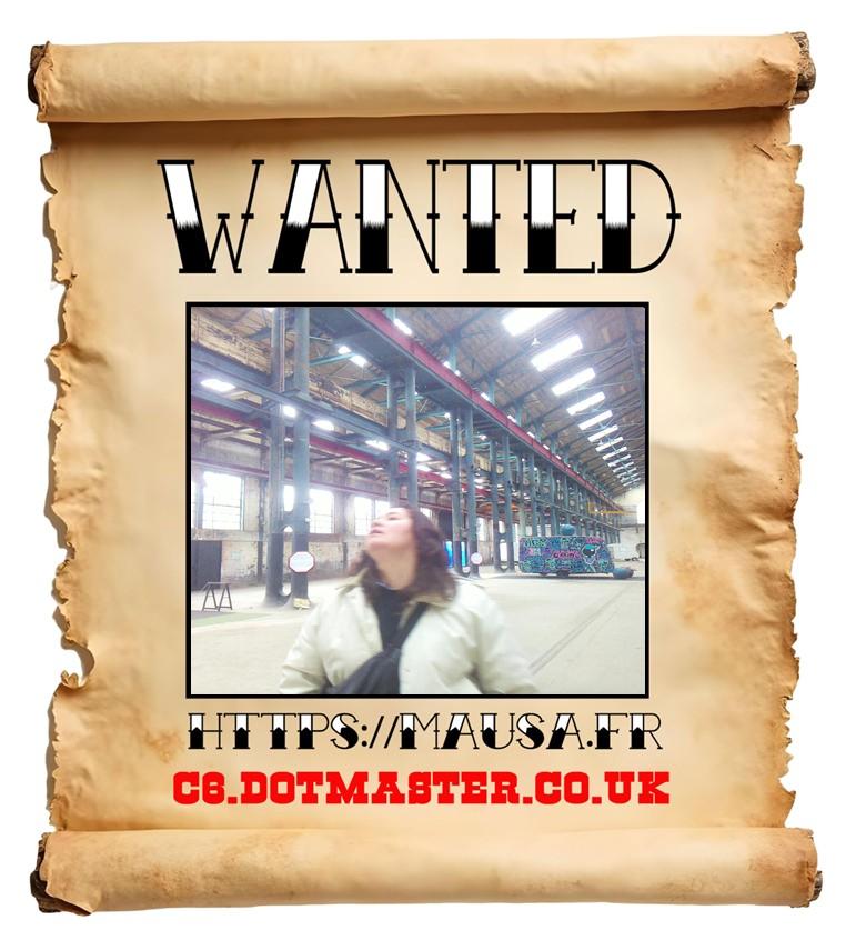 APB! Crime Reference: 6929ABA571964. A Metha addict is wanted in relation to a crime