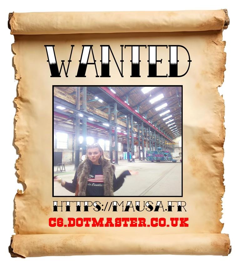 APB! Crime Reference: 6919D78DA6D6B. A Metha addict is wanted in relation to a crime