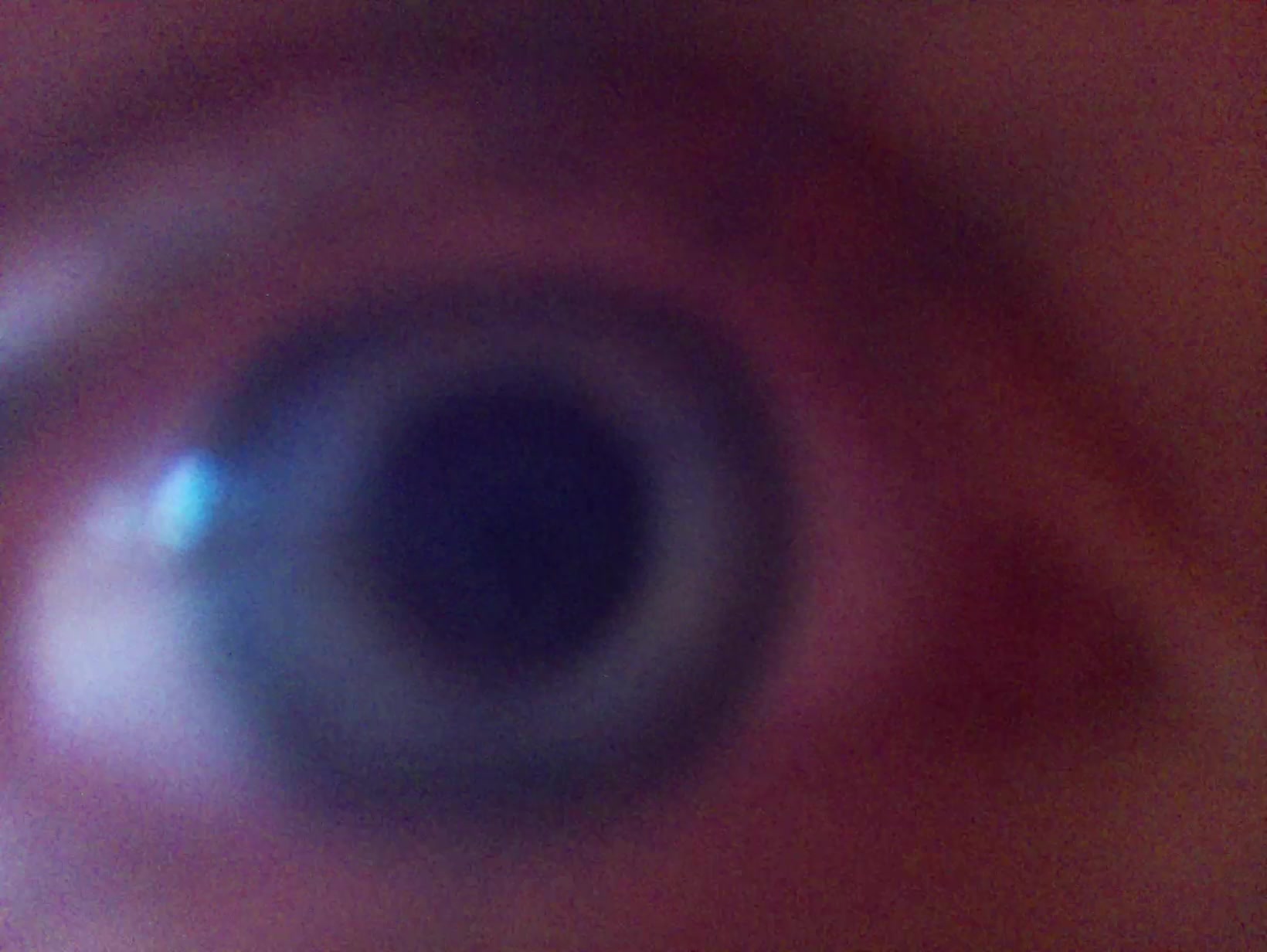 APB! Crime Reference: 690760DDB7225. A Metha addict is wanted for lurking