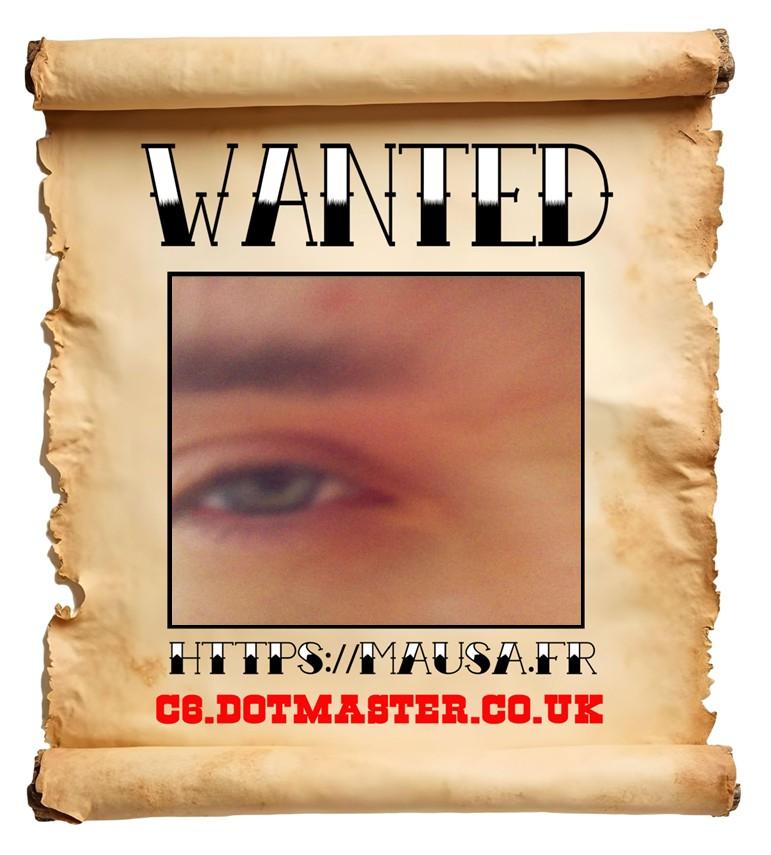 APB! Crime Reference: 69186E07274D3. A Metha addict is wanted in relation to a crime