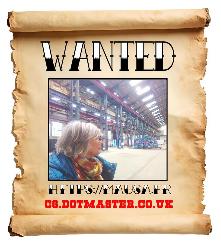 APB! Crime Reference: 69106902A84A8. A Metha addict is wanted in relation to a crime