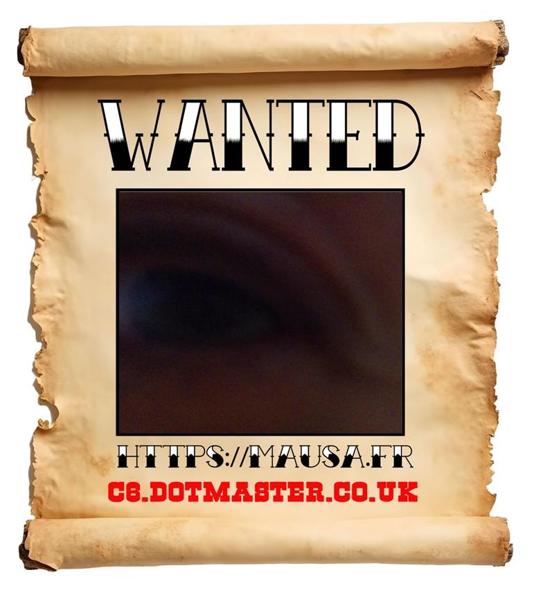 APB! Crime Reference: 690623692D931. A Metha addict is wanted in relation to a crime