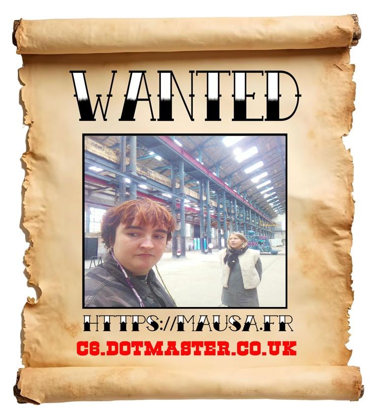 APB! Crime Reference: 6917276B0AAD2. A Metha addict is wanted in relation to a crime