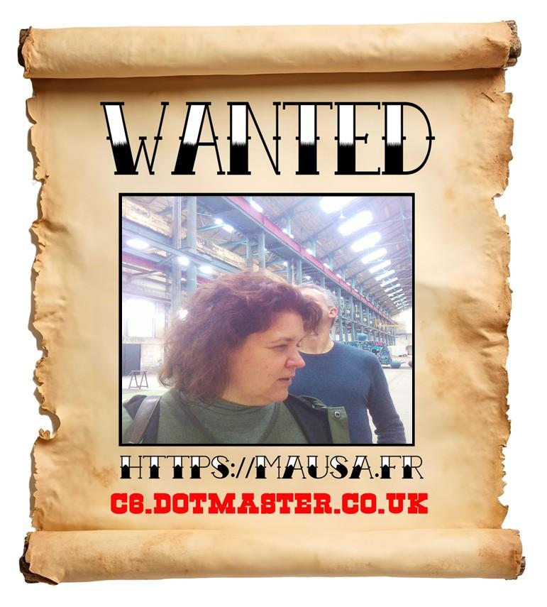 APB! Crime Reference: 6919CDDF68084. A Metha addict is wanted in relation to a crime